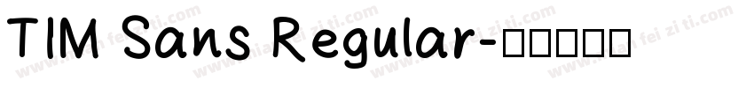 TIM Sans Regular字体转换